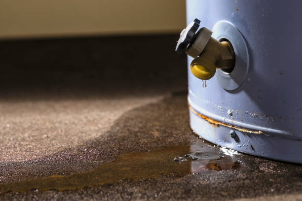 Best Basement water damage restoration  in Rochester, WA