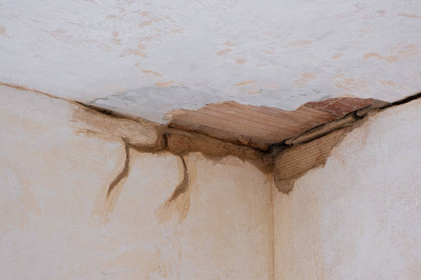 Best Carpet water damage restoration  in Rochester, WA