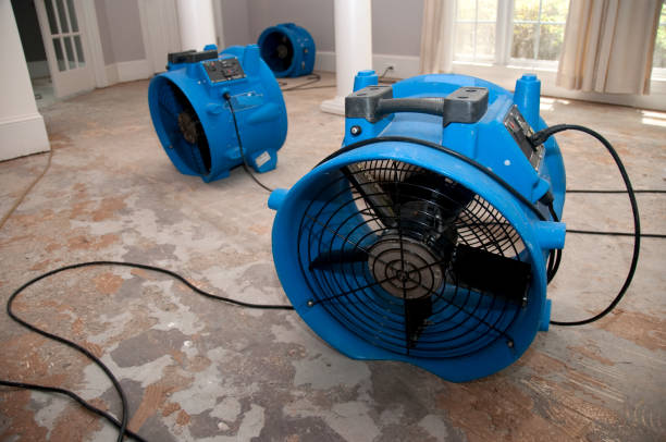 Best Flooded house restoration  in Rochester, WA