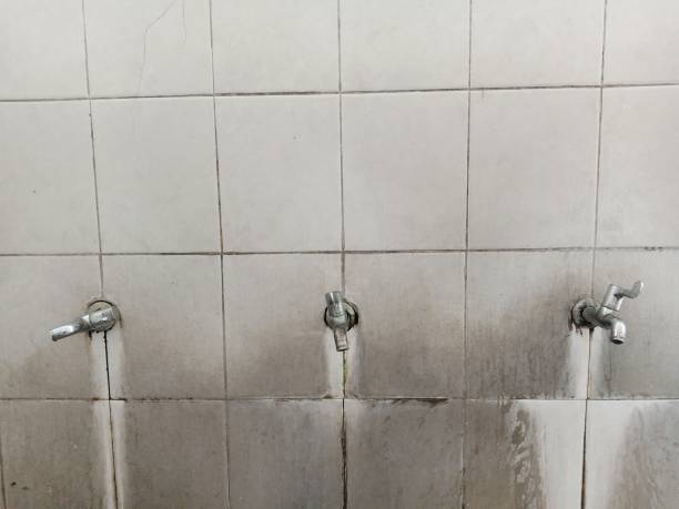 Best Residential water damage restoration  in Rochester, WA
